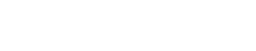 Skipper